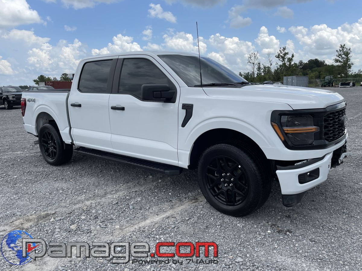 2024 Ford F-150 STX's photo