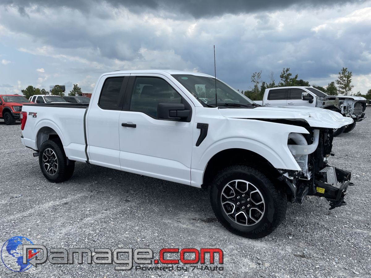 2023 Ford F-150 XL's photo