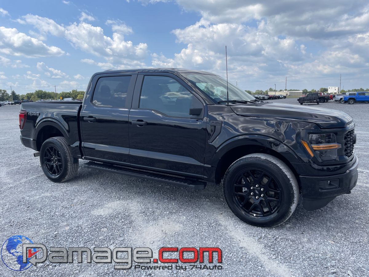 2024 Ford F-150 STX's photo