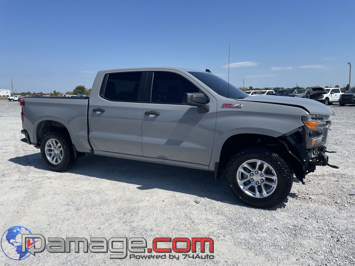 2024 Chevrolet Silverado 1500 Work Truck's photo