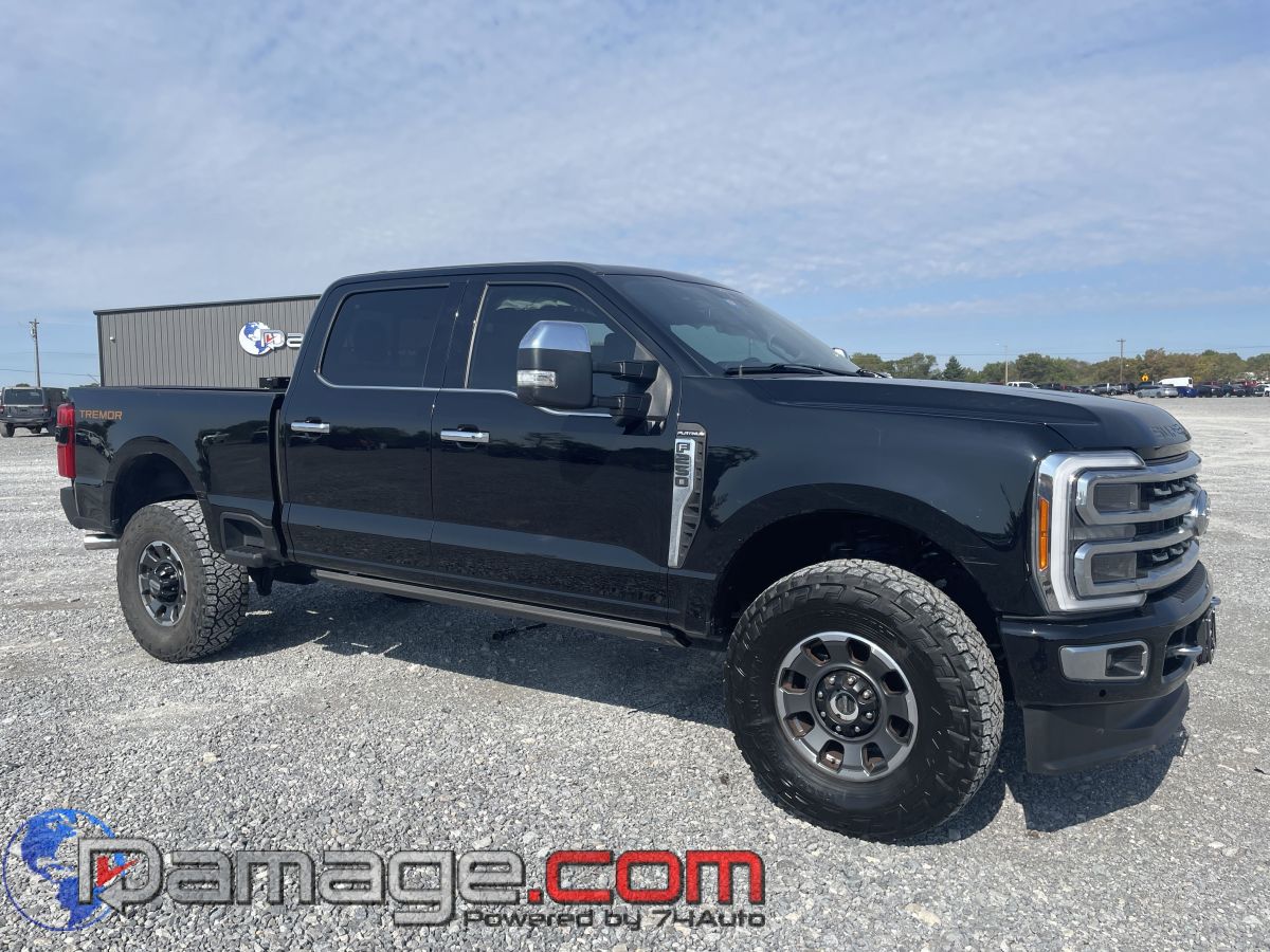 2024 Ford F-250 Super Duty Platinum's photo