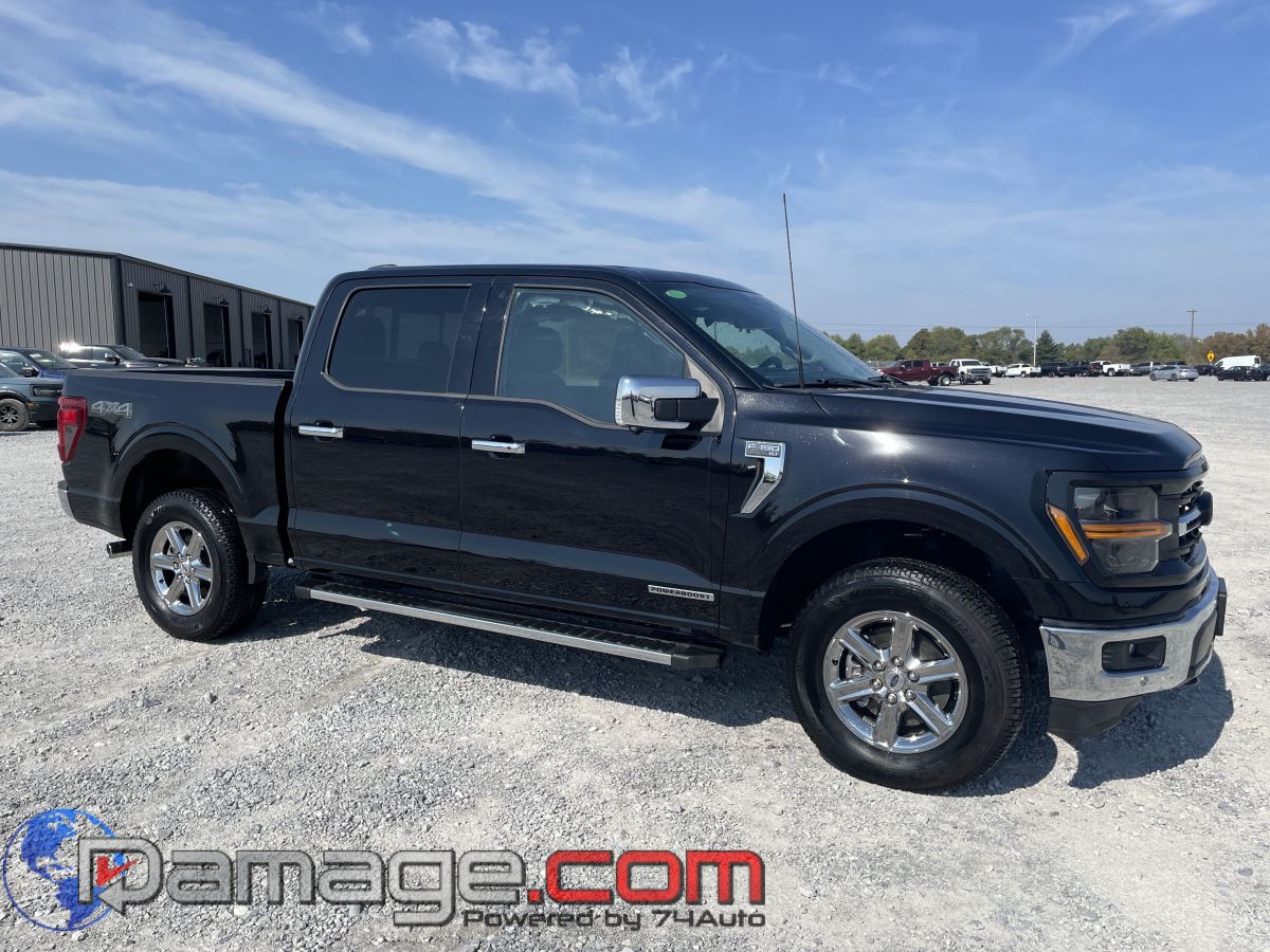 2024 Ford F-150 XLT's photo