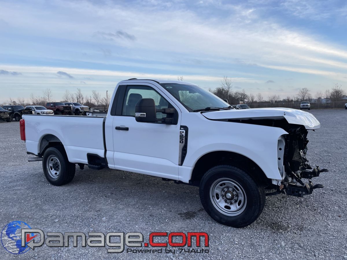 2024 Ford F-250 Super Duty XL's photo