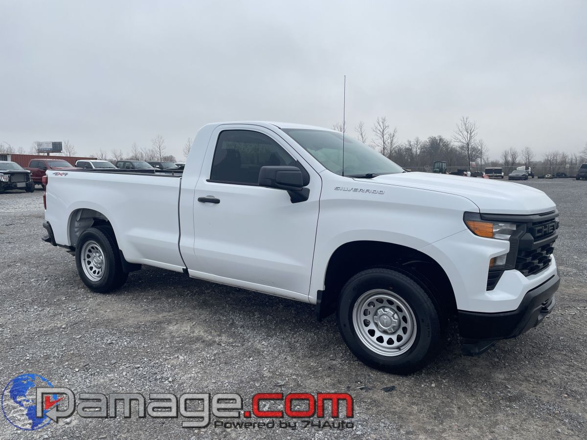 2023 Chevrolet Silverado 1500 Work Truck's photo