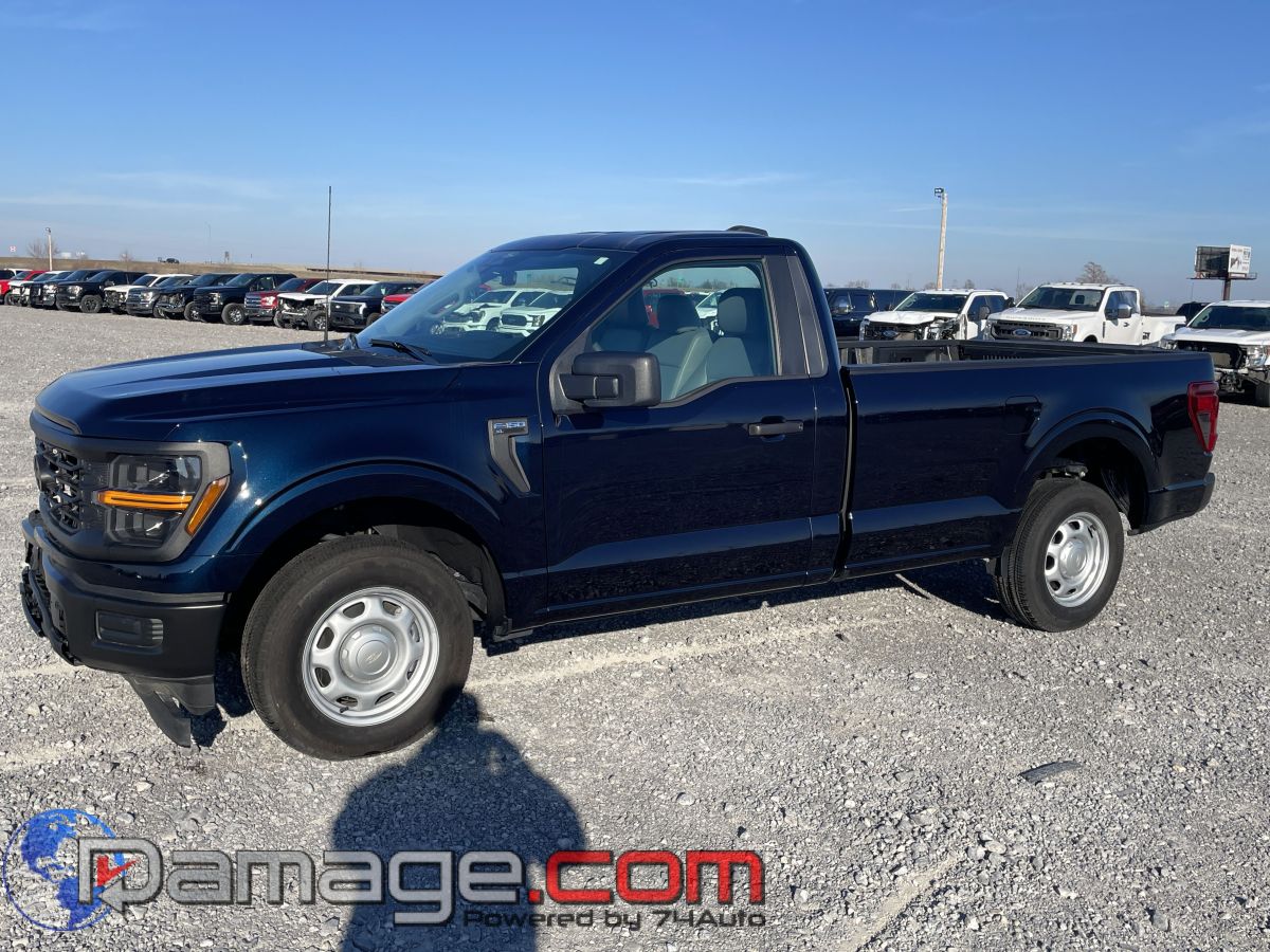 2025 Ford F-150 XL's photo