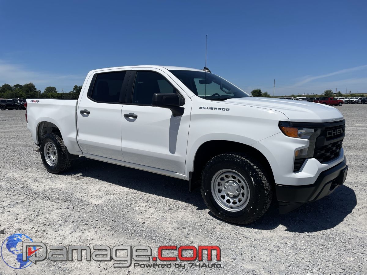 2024 Chevrolet Silverado 1500 Work Truck 1WT 4X4 Crew Cab Short Box's photo