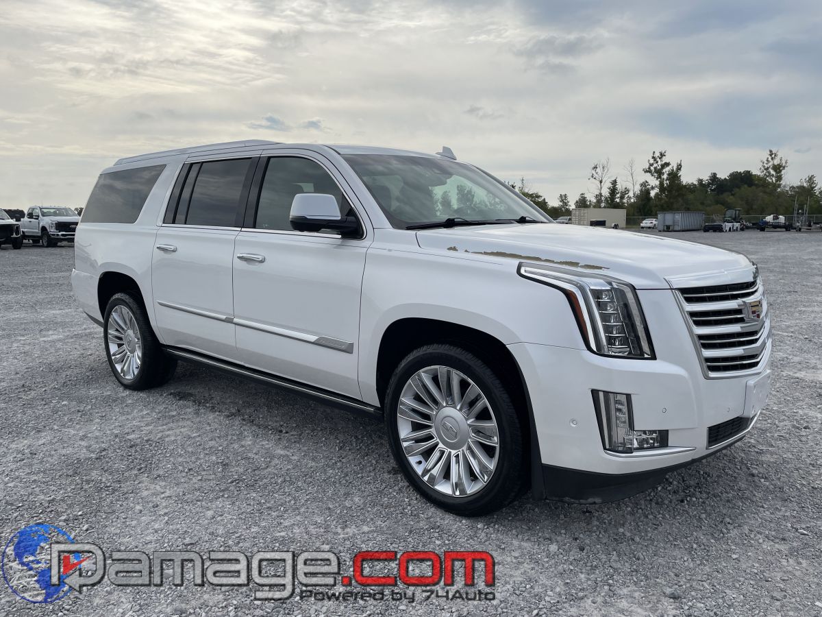 2018 Cadillac Escalade ESV Platinum